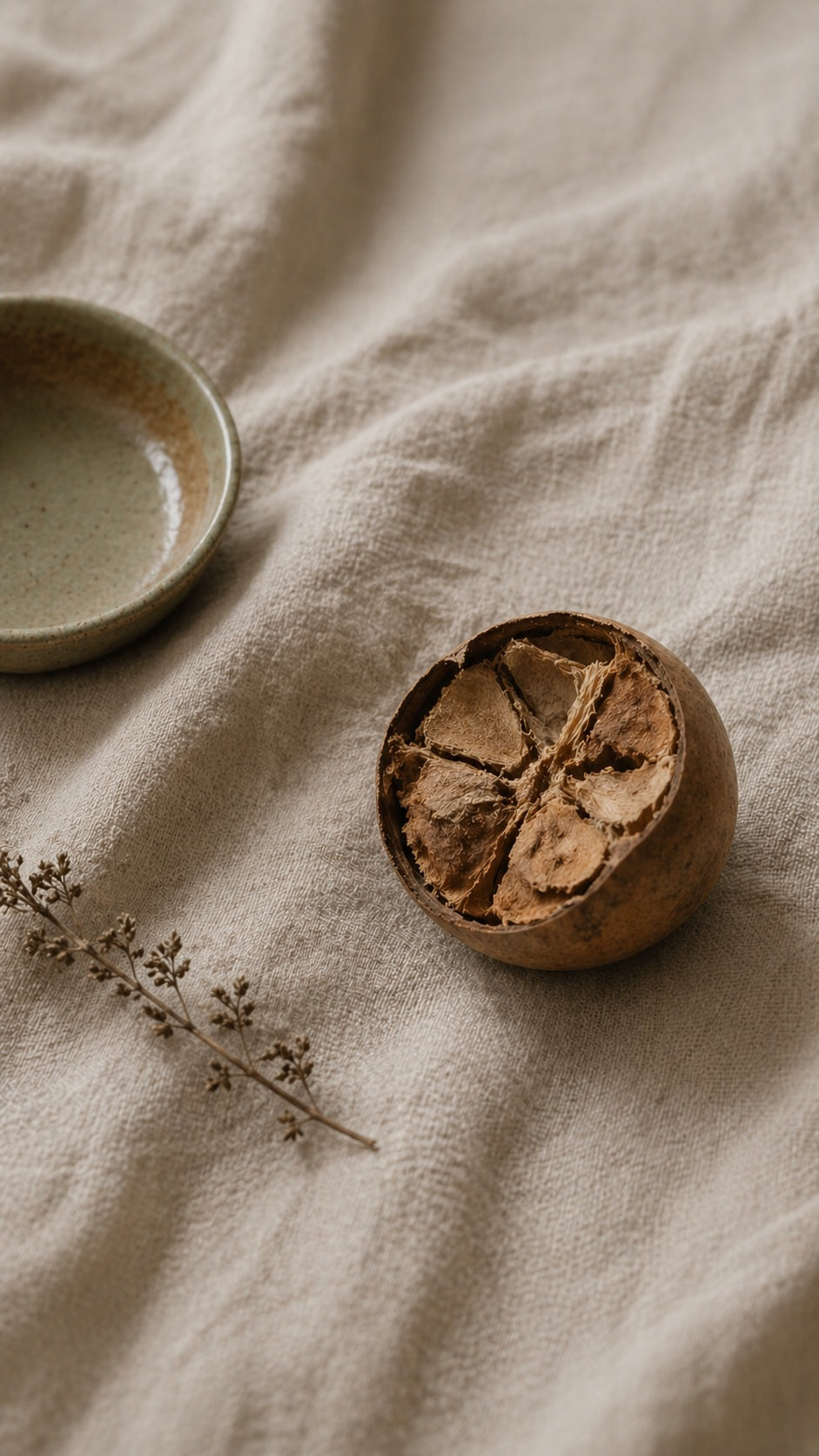 Sava - monk fruit on linen, still life